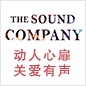 凯发k8国际参展Music China 2013 
